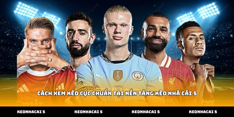 Cách xem kèo cực chuẩn tại nền tảng Kèo Nhà Cái 5